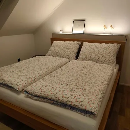 Zapletalovi Apartment