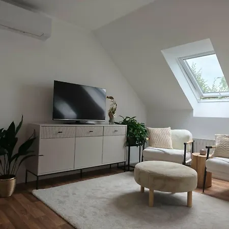 Zapletalovi Apartment *