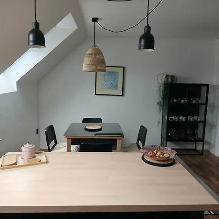 Zapletalovi Apartment